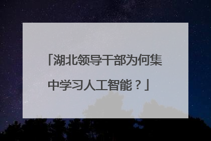 湖北领导干部为何集中学习人工智能？